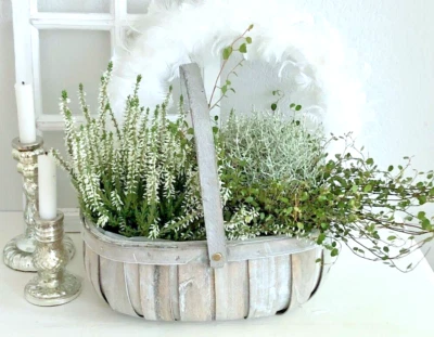 Großer Pflanzenkorb Korb mit Henkel, oval, Shabby Grau, Landhausgarten Deko, # L - Bild 1 von 3