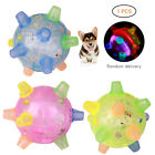 Pet LED Jumping Ball Play Ball Music Bouncing Toy Dancing Ball For Dogs C UK MAI