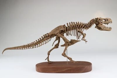 1:35 Scale Tyrannosaurus Skeleton Model 3D Printed Dinosaur Animal Scene Decor - Image 1 of 4
