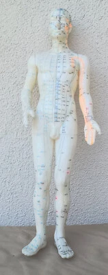 Puntos de acupuntura de goma muñeca modelo muñeca auxiliar instruccional 23" pulgadas Foto 1 de 4