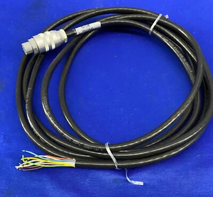 SICK 2022545 E172203 AWM ESTILO 2464 80 GRADOS C 300V VW 1 CABLE 15 PIES - Imagen 1 de 7