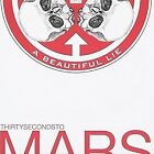 A Beautiful Lie, 30 Seconds to Mars, Used; Very Good CD