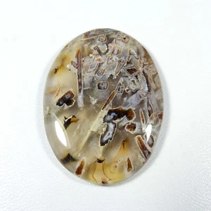 Pseudomorph Stick Agate Cabochon Oval Shape Natural Gemstone Loose 64 Cts #8131 - Picture 1 of 8