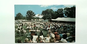 Vintage Ponderosa Park Ohio Country Music Crowd Postcard 1985 - Picture 1 of 2