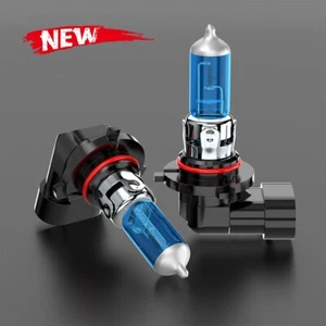 2 x 9006XS HB4A 55W Halogen Headlight Bulb DC12V Low Beam Replacement Error Free - Picture 1 of 11
