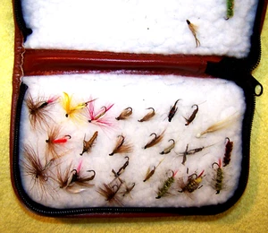 FLY FISHING: 29 Flies with Zippered Case, Mostly Dry Flies - Picture 1 of 3
