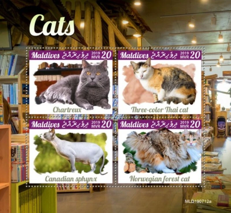 Maldives - 2019 Cat Breeds on Stamps - 4 Stamp Sheet - MLD190712a - Image 1 of 1