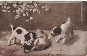 DE COLECCIÓN MT SHEAHAN POSTAL CACHORROS JUGUETONES LINDOS PERROS BLANCOS Y NEGROS 1913 101822 - Imagen 1 de 2