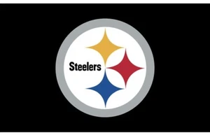 Pittsburgh Steelers Flag 3x5 foot Black Football Wilson Watt Harris Bradshaw NFL - Picture 1 of 8