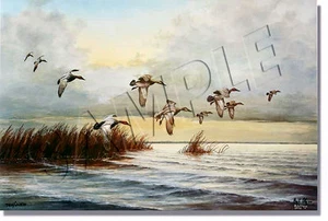 "WHERE THE CANVASBACK IS KING" LIMITED EDITION PRINT BY BOB ELGAS - Bild 1 von 4