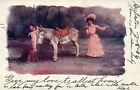 Humorous Cupid Talks in Donkey Ear Woman Answers at Tail Valentine Postcard 811