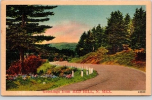 RED HILL, N. MEX. Postkarte Landstraße, Bäume, Blumen - Bild 1 von 2