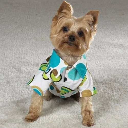 Casual Canine Mod Camp Dog Shirt Groovy Clothes Dots Circles Size: LARGE Apparel - Image 1 of 1