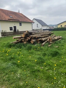 Brennholz ca. 14 Ster für selbstabholer - Bild 1 von 1
