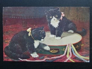 TWO KITTENS PLAYING WITH A TAMBOURINE c1919 Postcard by Raphael Tuck 8883 - Picture 1 of 2