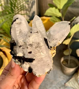 Quarzkristalle kombinieren Schorl schwarze Turmaline aus Skardu Pakistan - 428 Gramm - Bild 1 von 6