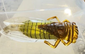 Seltene Vintage französische Art Deco Zelluloid Plexiglas gelb Zikade Käfer Brosche Anstecknadel 2,5" - Bild 1 von 3