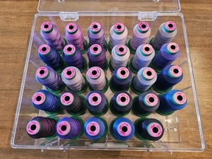 Isacord Embroidery Thread Set Lot Of 29 Multi Color 1000m With Case Purple Blue - Picture 1 of 8