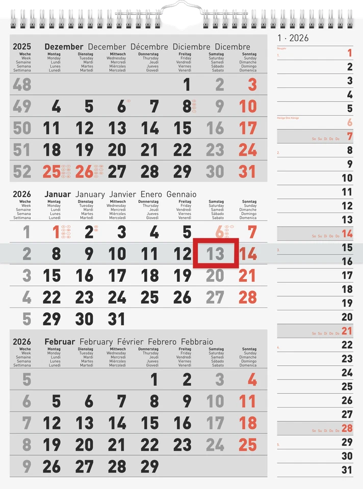 BRUNNEN Rido Dreimonatskalender 30x39cm grau (2026) (Wandkalender / 3-Monatskalender)