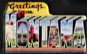 BIG MAGNET REFRIGERATOR GREETINGS FROM MONTANA BIG SKY COUNTRY LARGE LETTER - Picture 1 of 1