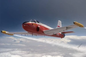 JET PROVOST T.51/52 - Avión británico, FLY 48038, ESCALA 1/48 - Imagen 1 de 9