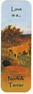NORFOLK TERRIER BEAUTIFUL DOG BOOKMARK SAME IMAGE BOTH SIDES GREAT GIFT - Bild 1 von 1