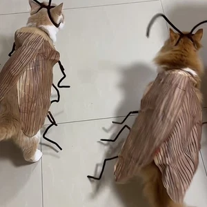 Cat Cosplay Dress Up Cockroach Costume Pet Breathable Clothing Funny Party De KP - Picture 1 of 5