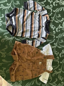 CARHARTT Infant Boys 9 & 12 Months Short Sleeve Bib Set & Long Sleeve One Piece - Bild 1 von 11