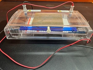 Life Technologies Gibco BRL Sunrise horizontale Gelelektrophorese mit Leitungen - Bild 1 von 7