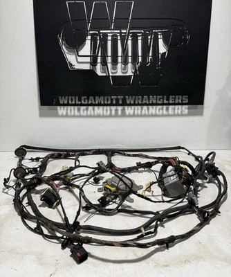 03-04 Jeep Wrangler TJ Cuerpo Trasero Bandolera Cableado Arnés a Luces Traseras Cable OEM QH Foto 1 de 4