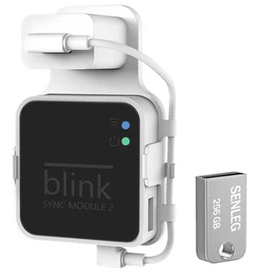256GB Blink USB Stick und Blink Sync Modul 2 Mount, ohne Bohren Easy M... - Bild 1 von 7