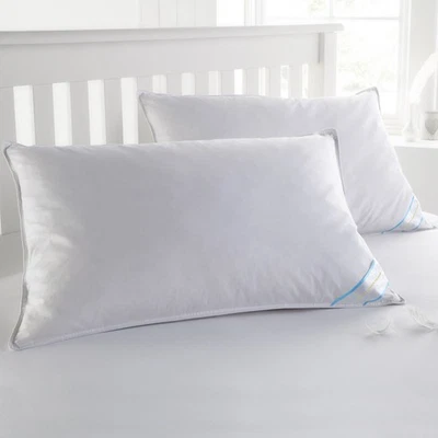 Sweet Home Collection Feather Pillow, Standard (Pack of 2), White Count Foto 1 de 4