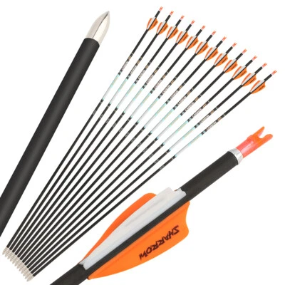 32" Archery Pure Carbon Arrows SP300-1000 Vanes .0001 Compound RecurveBow Target - Image 1 of 4