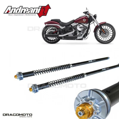 Cartucho Harley-Davidson Softail Breakout / FXSB 2013-2017 ANDREANI 110/HD15... Foto 1 de 4