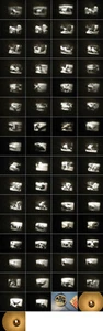 8 mm Film Cirkus,Zoo,Tierfilm 1950.Tiger Privataufzucht,Elefanten-Zoo, animal f - Imagen 1 de 1