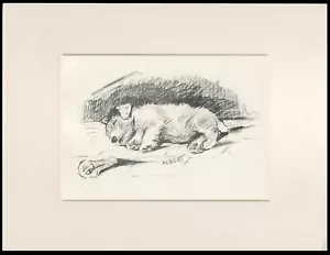 JACK RUSSELL TERRIER ORIGINAL OLD 1937 MOUNTED DOG ART PRINT by LUCY DAWSON MAC - Picture 1 of 1