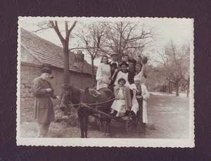 ca1950 Medicina Armenia Médico Enfermera Paramédico en Carruaje de Caballos Bigote Foto - Imagen 1 de 2