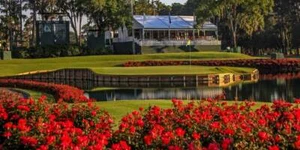 Affiche - Trou de parcours de golf TPC Sawgrass 17, 4 tailles - Imagekind - Photo 1 sur 21