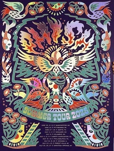 Phish FOIL Poster Summer Tour 2025 Josh Noom /400 Flaming Bird Heads MINT 🔥 - Picture 1 of 1