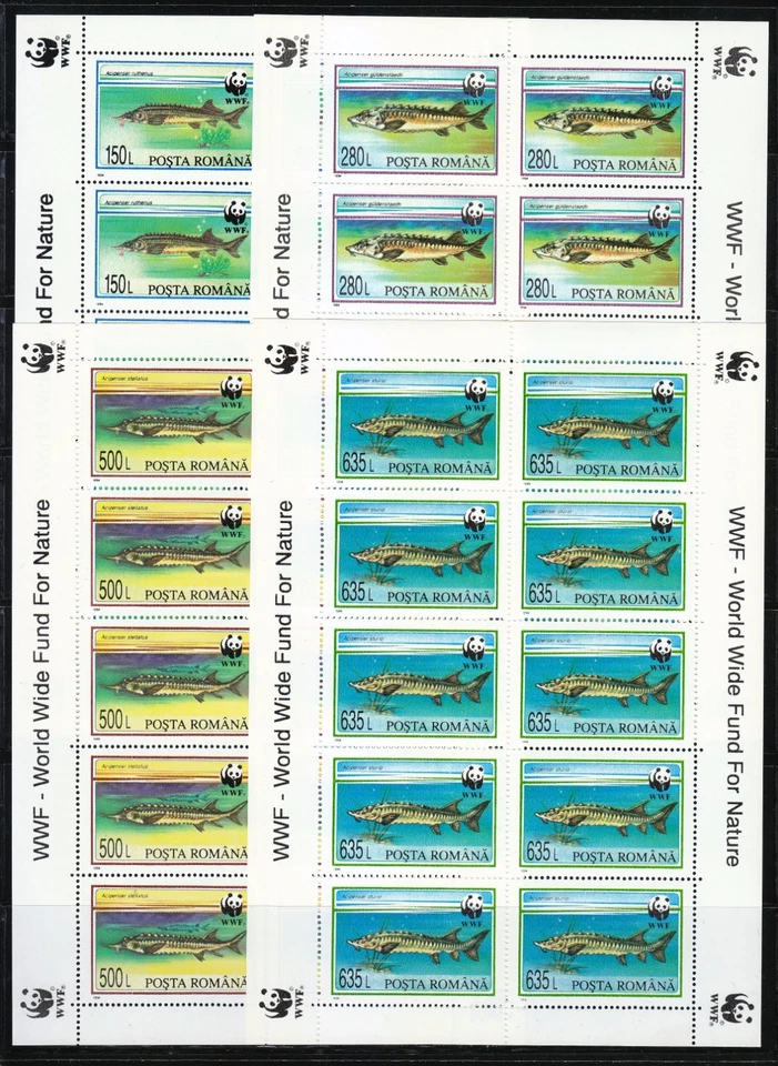 Rumanía 1994 MNH Sc 3954-3957 Mi 5034-5037 Esturión. Peces. WWF. Juego de KLB ** Foto 1 de 4