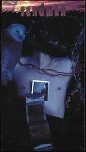 Limited Run Skybox - DC Comics Vertigo 1994 #13 Sandman & bonus cards added - Picture 1 of 1