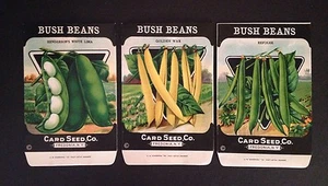 1930s Litho Antique Vintage Seed Packets Bush Beans Card Seed Co. Packs Mint - Picture 1 of 2