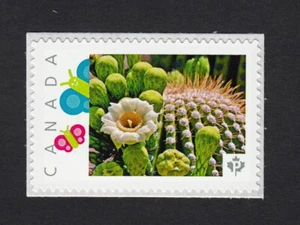 CACTUS = WHITE FLOWER = Picture Postage Stamp Canada 2015 MNH p15-01-sn11 - Picture 1 of 2