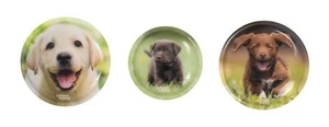School-Mood accesorios para mochilas 3er Patchy-Set Dog - Imagen 1 de 2