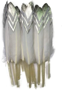 50Pcs Colorful Gold Goose Feathers 4-6Inch(10-15Cm) for Art Craft Party Decorati - Picture 1 of 4