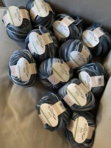 Willow Yarns Daily Bulky Wolle Garn Wickeln Straße Menge 12 Neu 106 Yards pro Stück - Bild 1 von 6