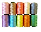 Silk Thread, Shiny 10 Spools, Multicolor For Embroidery/Bangle-Jhumka-Jewellery