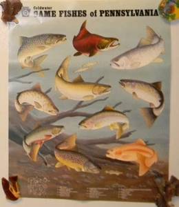 Coldwater Game Fishes of Pa - 22" x 17" - Mint - Neu - Bild 1 von 2