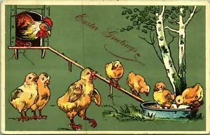 Polli che giocano gallo che guardano Pasqua cartolina 1907 - Foto 1 di 2