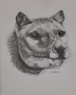 Tasmanian Tiger Thylacine ORIGINAL Stipple Ink Drawing - Many, many hours work.